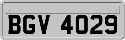 BGV4029