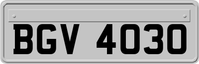 BGV4030