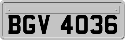 BGV4036