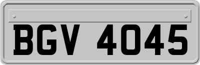 BGV4045