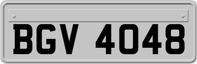 BGV4048