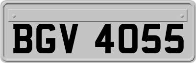 BGV4055