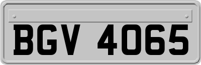BGV4065