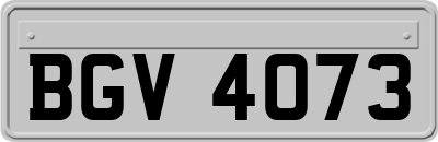 BGV4073