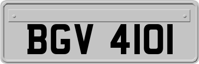 BGV4101