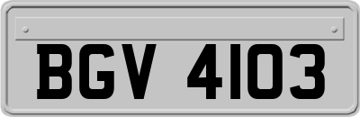 BGV4103