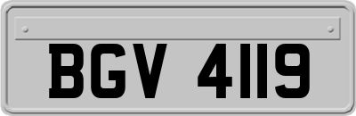 BGV4119