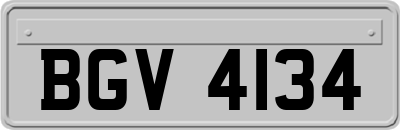 BGV4134