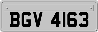 BGV4163