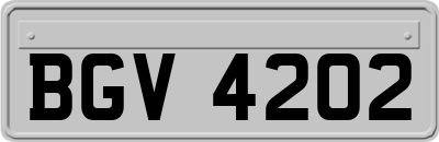 BGV4202
