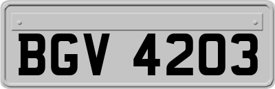 BGV4203