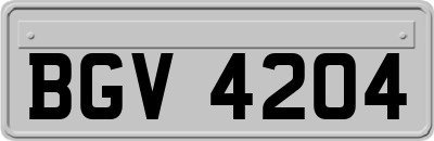 BGV4204