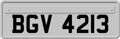 BGV4213