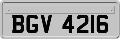 BGV4216