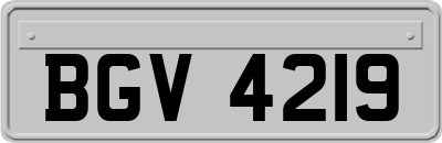 BGV4219