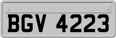 BGV4223