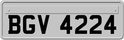 BGV4224