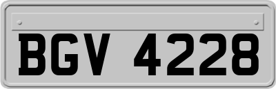 BGV4228