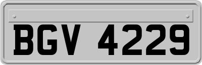 BGV4229