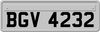 BGV4232