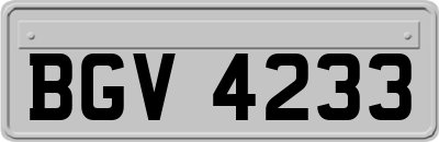 BGV4233