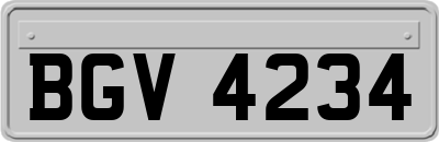 BGV4234