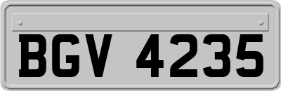 BGV4235