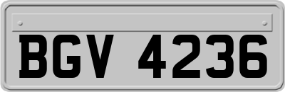 BGV4236