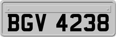 BGV4238