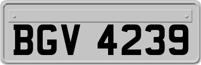 BGV4239