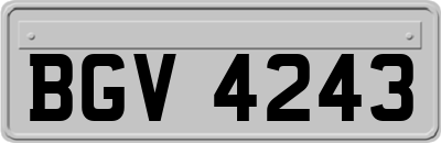 BGV4243