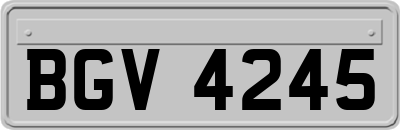 BGV4245