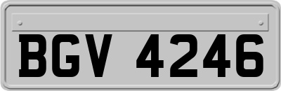 BGV4246