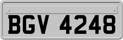 BGV4248