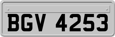 BGV4253