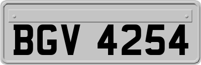BGV4254