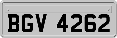 BGV4262