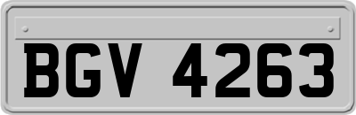 BGV4263