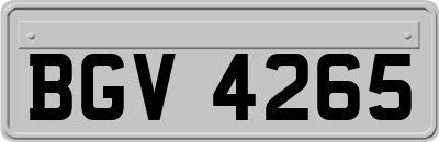BGV4265