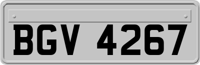 BGV4267