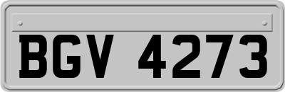 BGV4273
