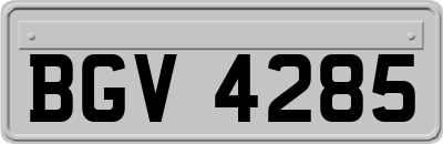 BGV4285