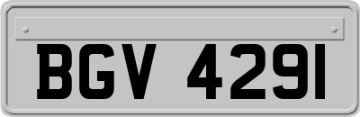 BGV4291