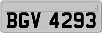 BGV4293