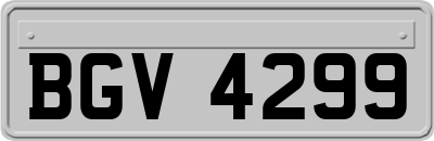 BGV4299