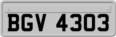 BGV4303