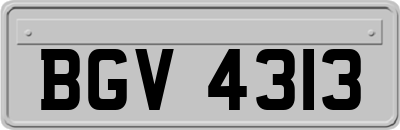 BGV4313