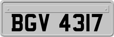 BGV4317