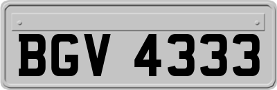 BGV4333