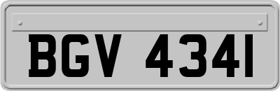 BGV4341